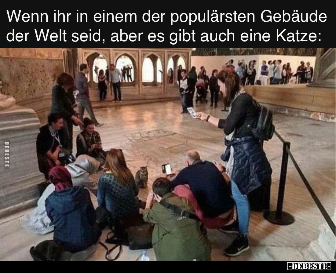 Wenn ihr in einem der populärsten Gebäude der Welt seid, aber es gibt auch eine Katze: