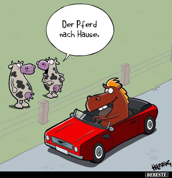 Der Pferd nach Hause... - Lustige Bilder | DEBESTE.de