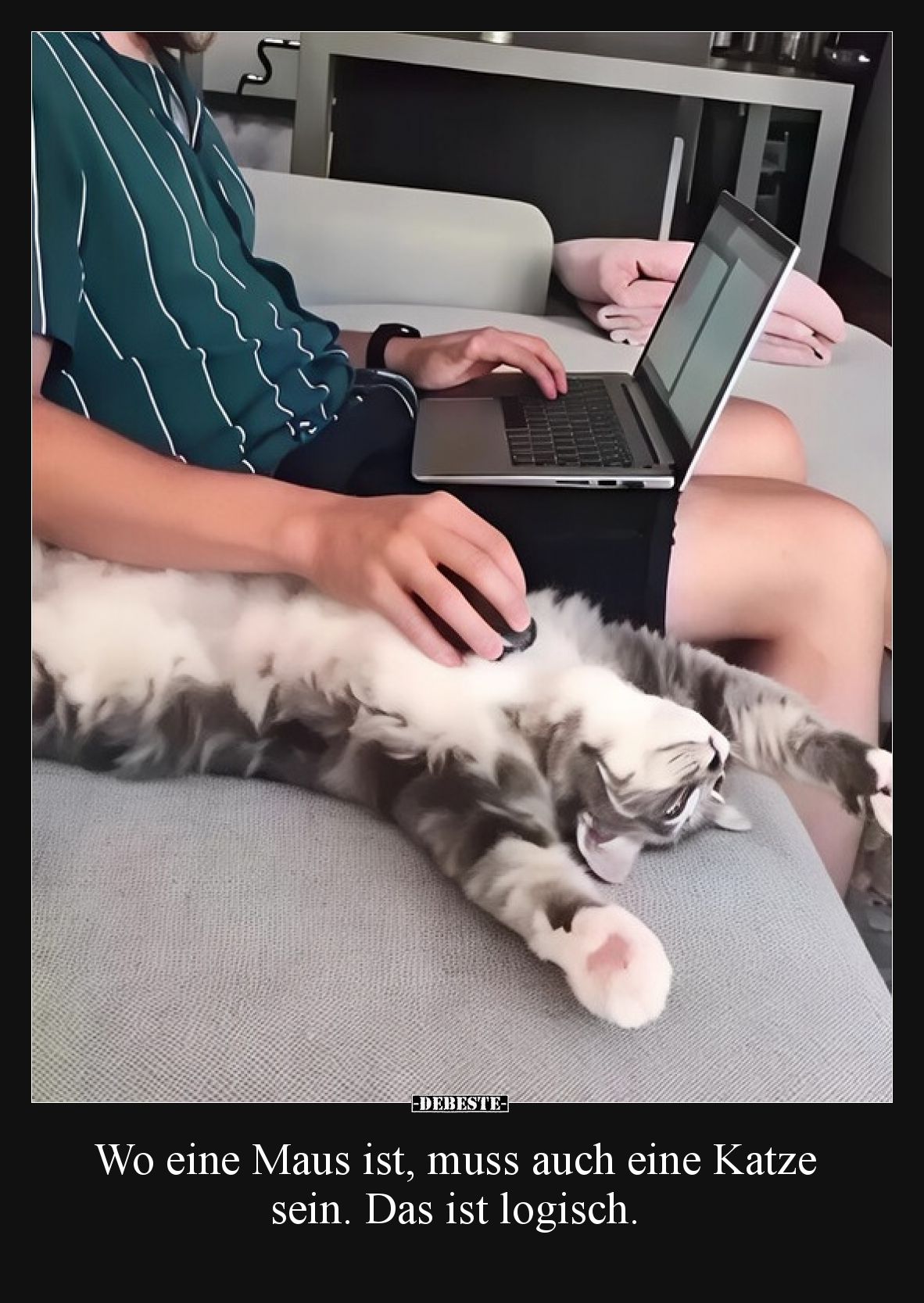 Wo eine Maus ist, muss auch eine Katze sein. Das ist logisch.