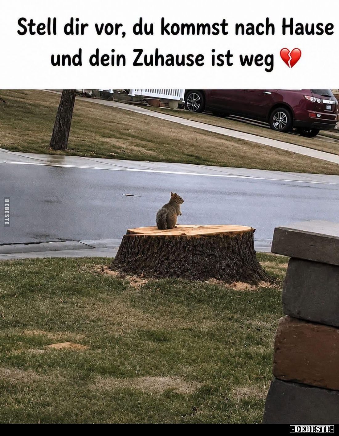 Stell dir vor, du kommst nach Hause und dein Zuhause ist weg.
