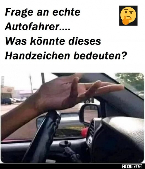 Frage an echte Autofahrer.... Was könnte dieses Handzeichen.. - Lustige Bilder | DEBESTE.de