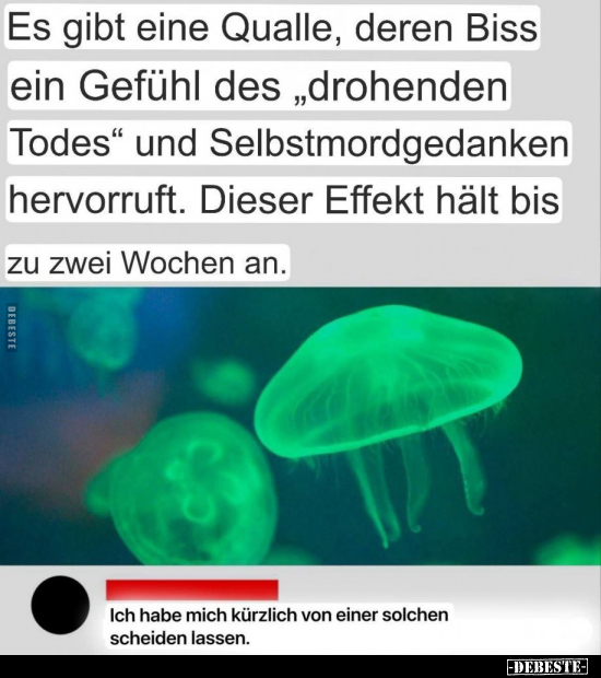 Es gibt eine Qualle, deren Biss ein Gefühl des "drohenden.." - Lustige Bilder | DEBESTE.de