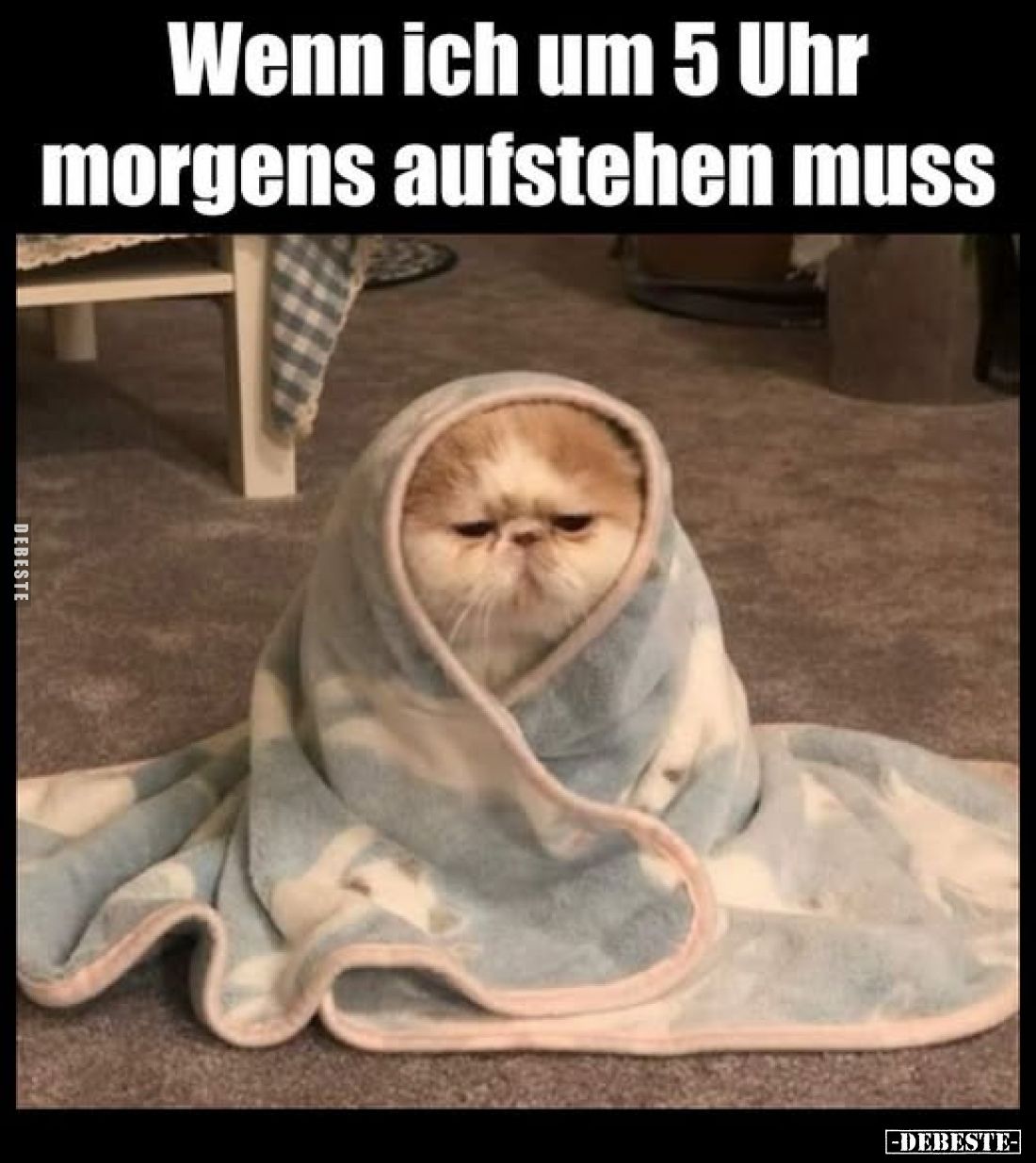 Wenn ich um 5 Uhr morgens aufstehen muss.