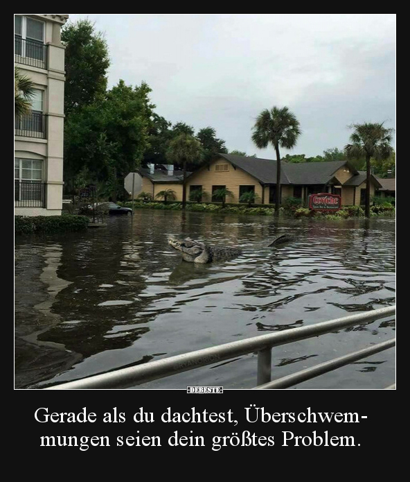 Gerade als du dachtest, Überschwemmungen seien dein.. - Lustige Bilder | DEBESTE.de