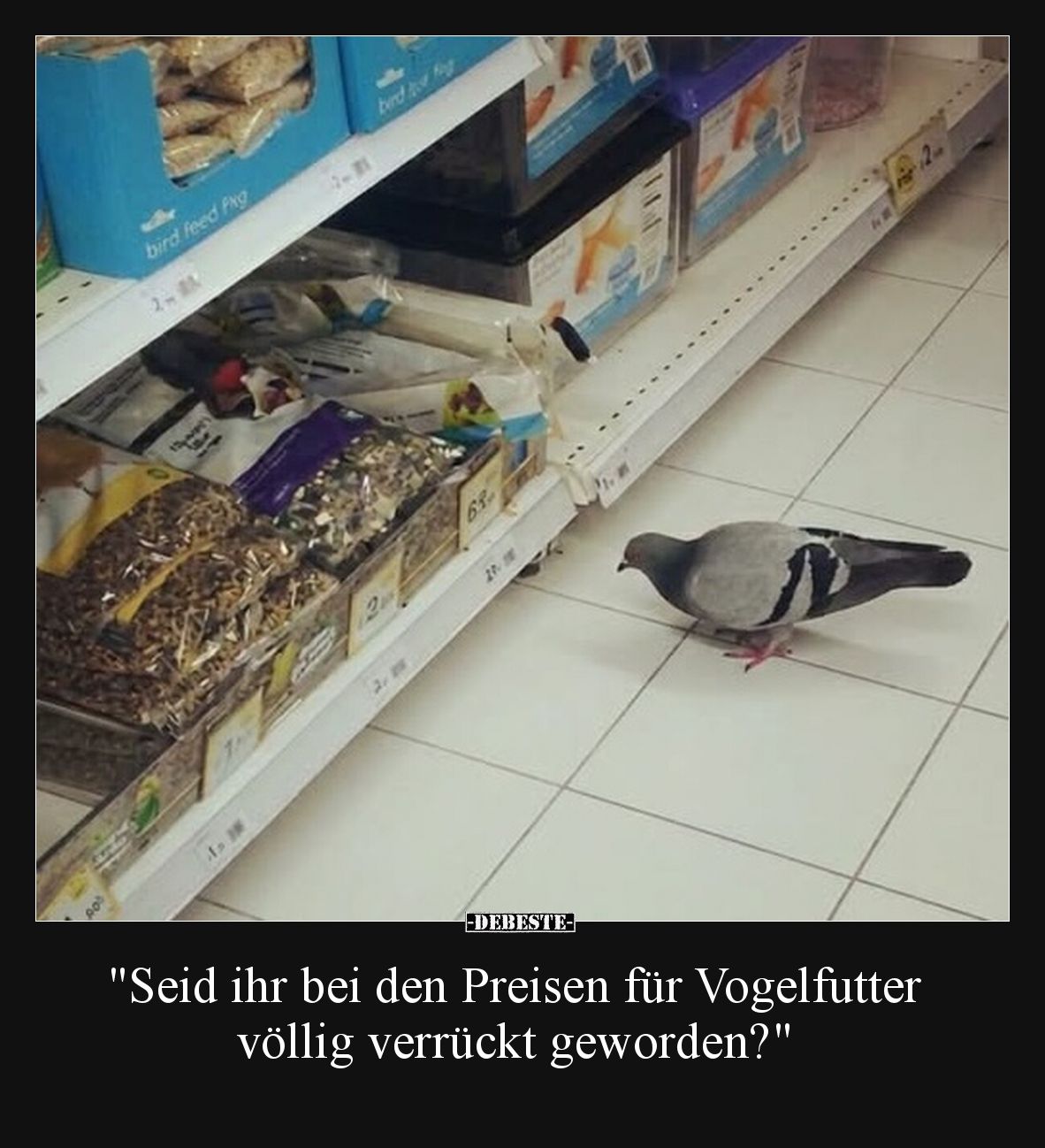 "Seid ihr bei den Preisen für Vogelfutter völlig verrückt.." - Lustige Bilder | DEBESTE.de