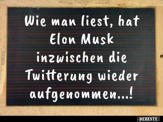 Wie man liest, hat Elon Musk inzwischen die Twitterung.. - Lustige Bilder | DEBESTE.de