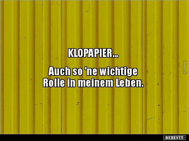KLOPAPIER... Auch so 'ne wichtige Rolle in meinem.. - Lustige Bilder | DEBESTE.de