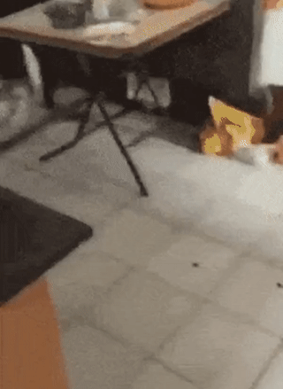 Wenn Du im Lebenslauf gelogen hast..