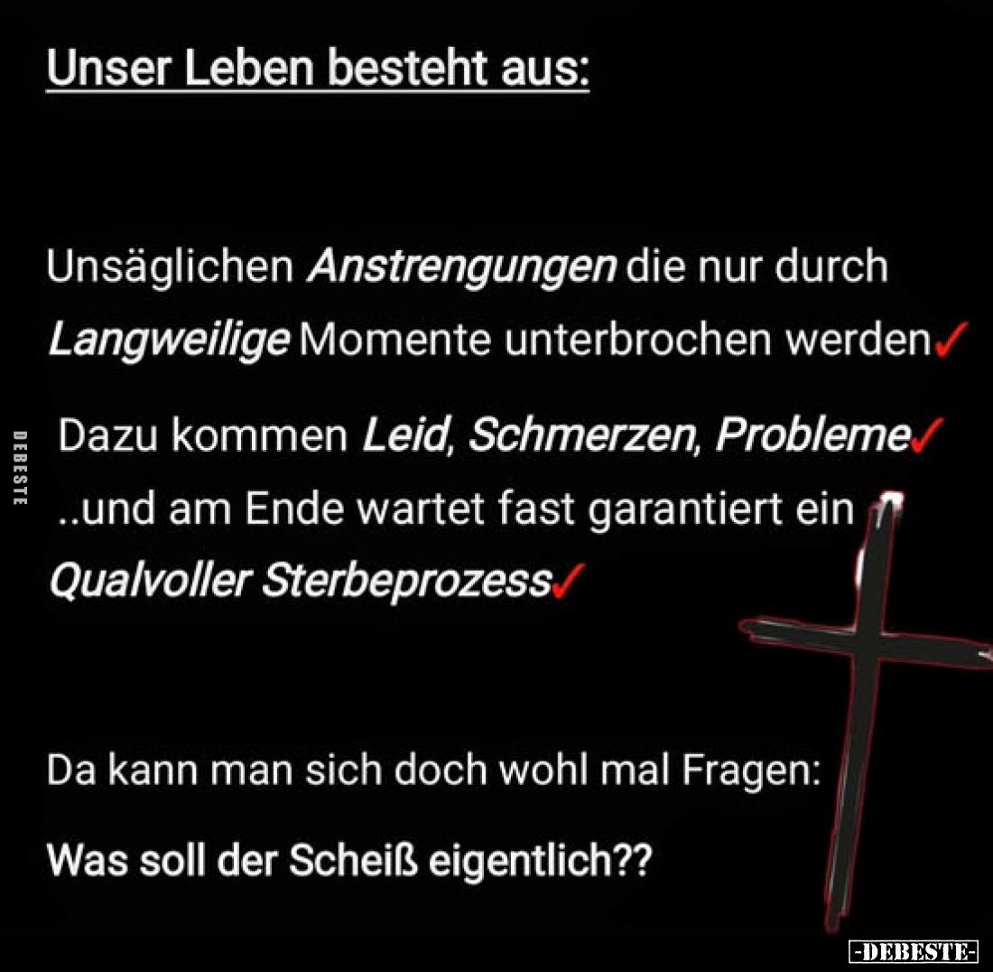 Unser Leben besteht aus:
Unsäglichen Anstrengungen, die nur durch langweilige Momente unterbrochen werden. -
Dazu kommen Le...