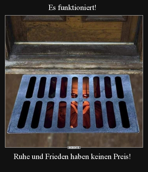 Es funktioniert!.. - Lustige Bilder | DEBESTE.de