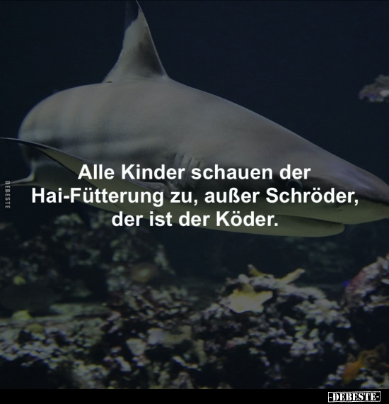 Alle Kinder schauen der Hai-Fütterung zu, außer Schröder.. - Lustige Bilder | DEBESTE.de