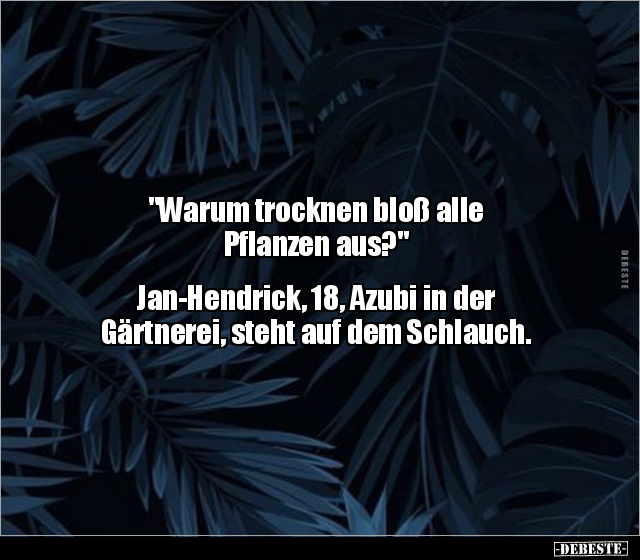 "Warum trocknen bloß alle Pflanzen aus?" Jan-Hendrick.. - Lustige Bilder | DEBESTE.de