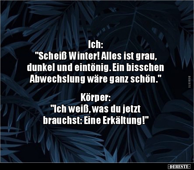 Ich: "Scheiß Winter! Alles ist grau, dunkel und.." - Lustige Bilder | DEBESTE.de