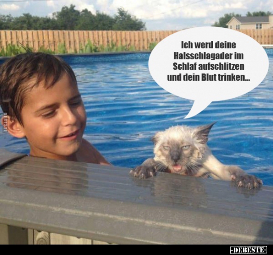 Ich werd deine Halsschlagader im Schlaf aufschlitzen und..
