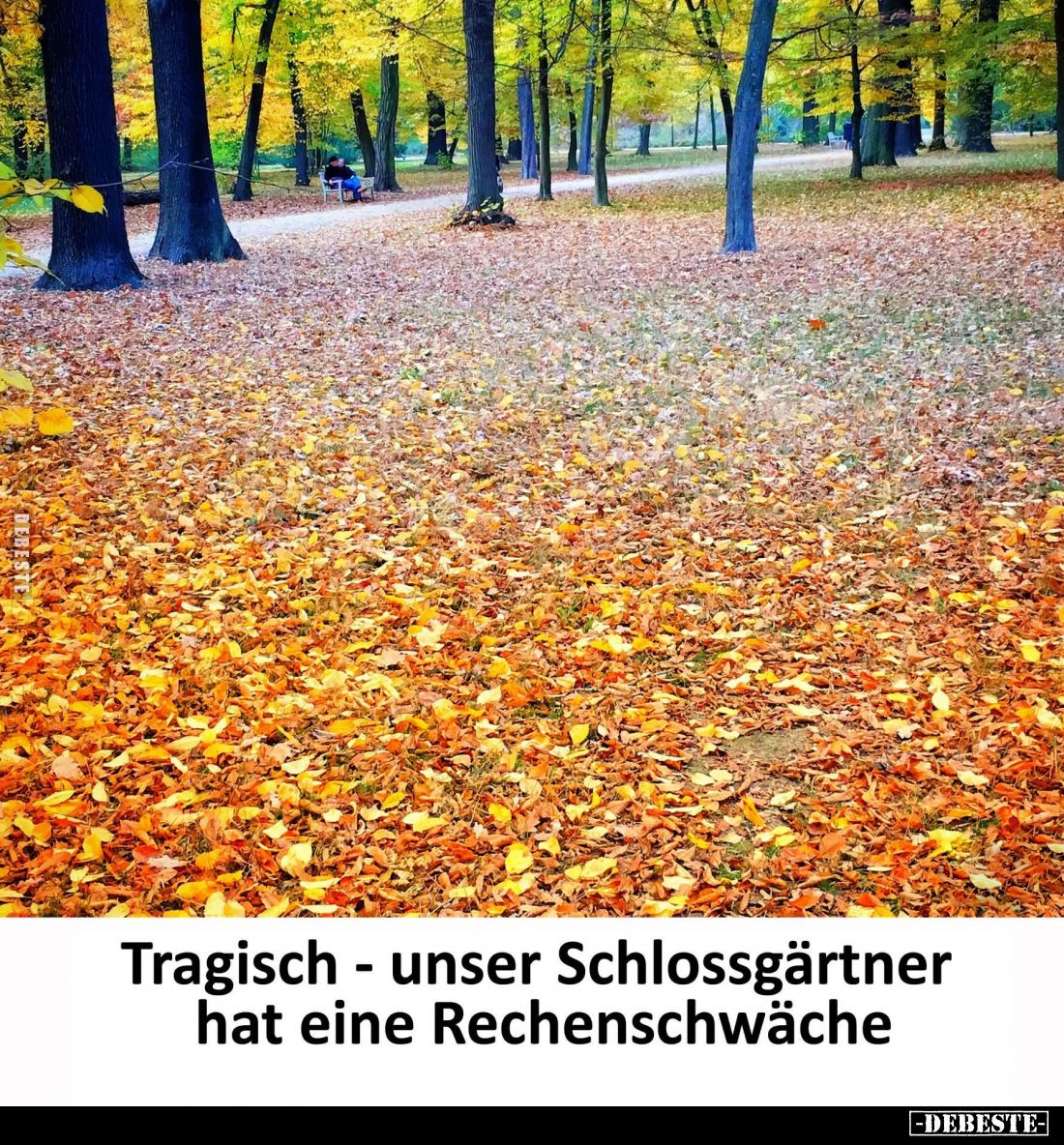 Tragisch - unser Schlossgärtner hat eine Rechenschwäche.