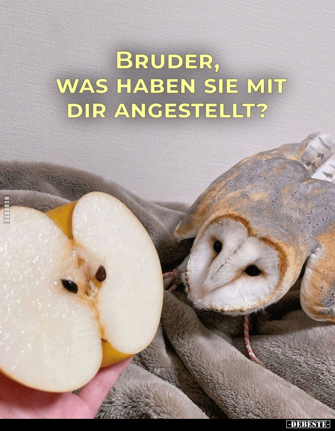 Bruder, was haben sie mit dir angestellt?