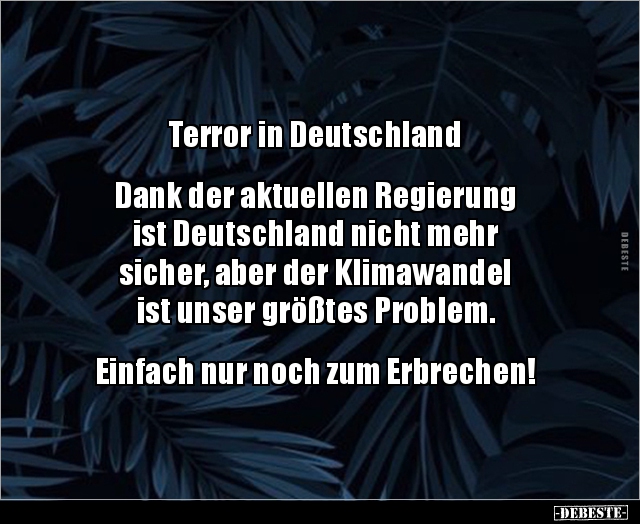 Terror in Deutschland - Dank der aktuellen Regierung ist.. - Lustige Bilder | DEBESTE.de