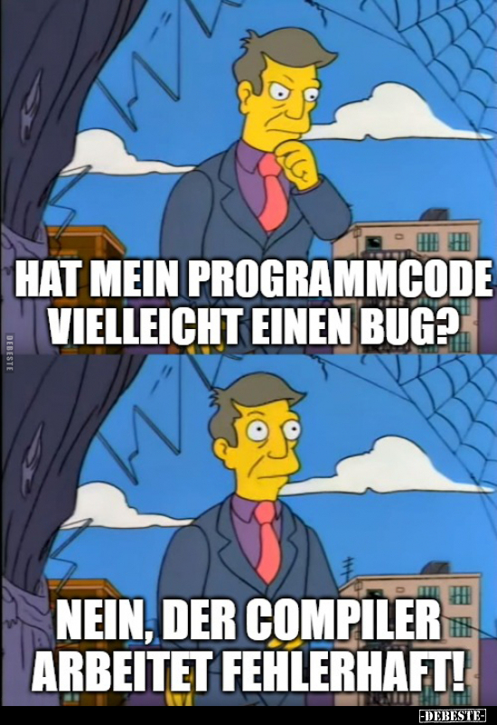 Hat mein Programmcode vielleicht einen Bug?.. - Lustige Bilder | DEBESTE.de