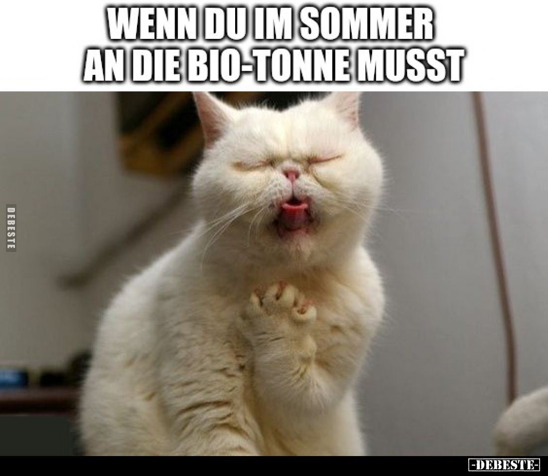 WENN DU IM SOMMER AN DIE BIO-TONNE MUSST