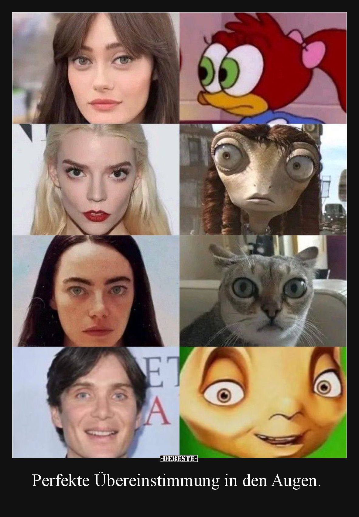 Perfekte Übereinstimmung in den Augen.