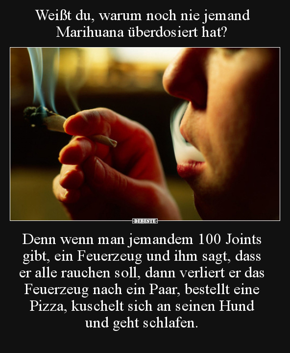 Weißt du, warum noch nie jemand Marihuana überdosiert hat?.. - Lustige Bilder | DEBESTE.de