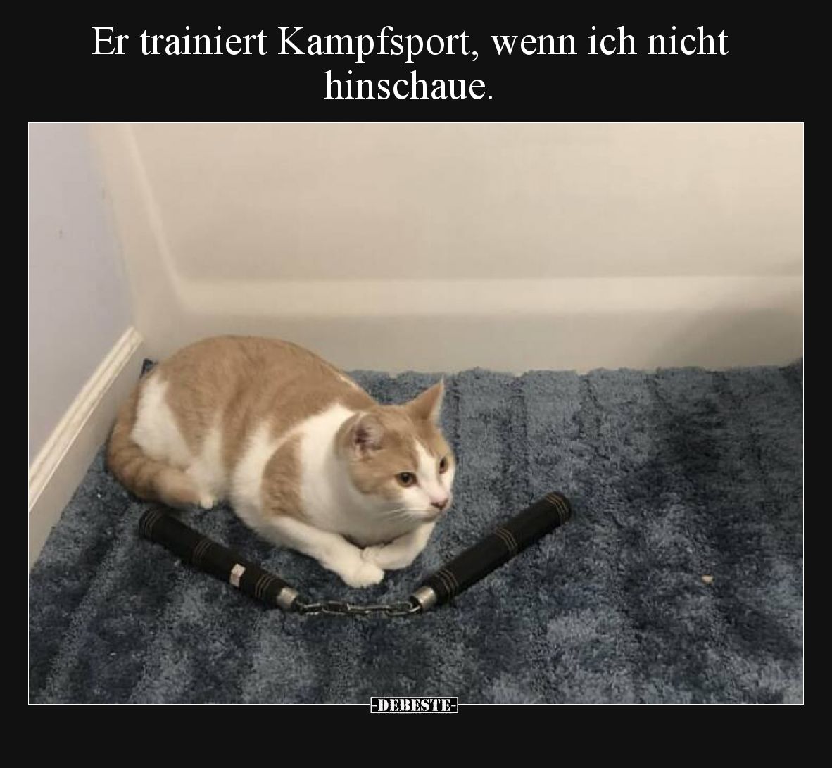 Er trainiert Kampfsport, wenn ich nicht hinschaue.