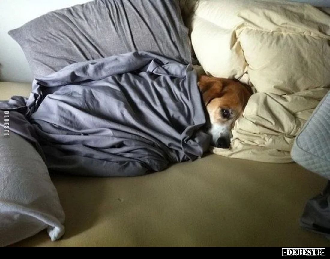  - Lustige Bilder | DEBESTE.de