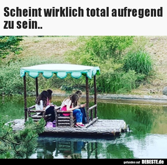 Scheint wirklich total aufregend zu sein.. - Lustige Bilder | DEBESTE.de