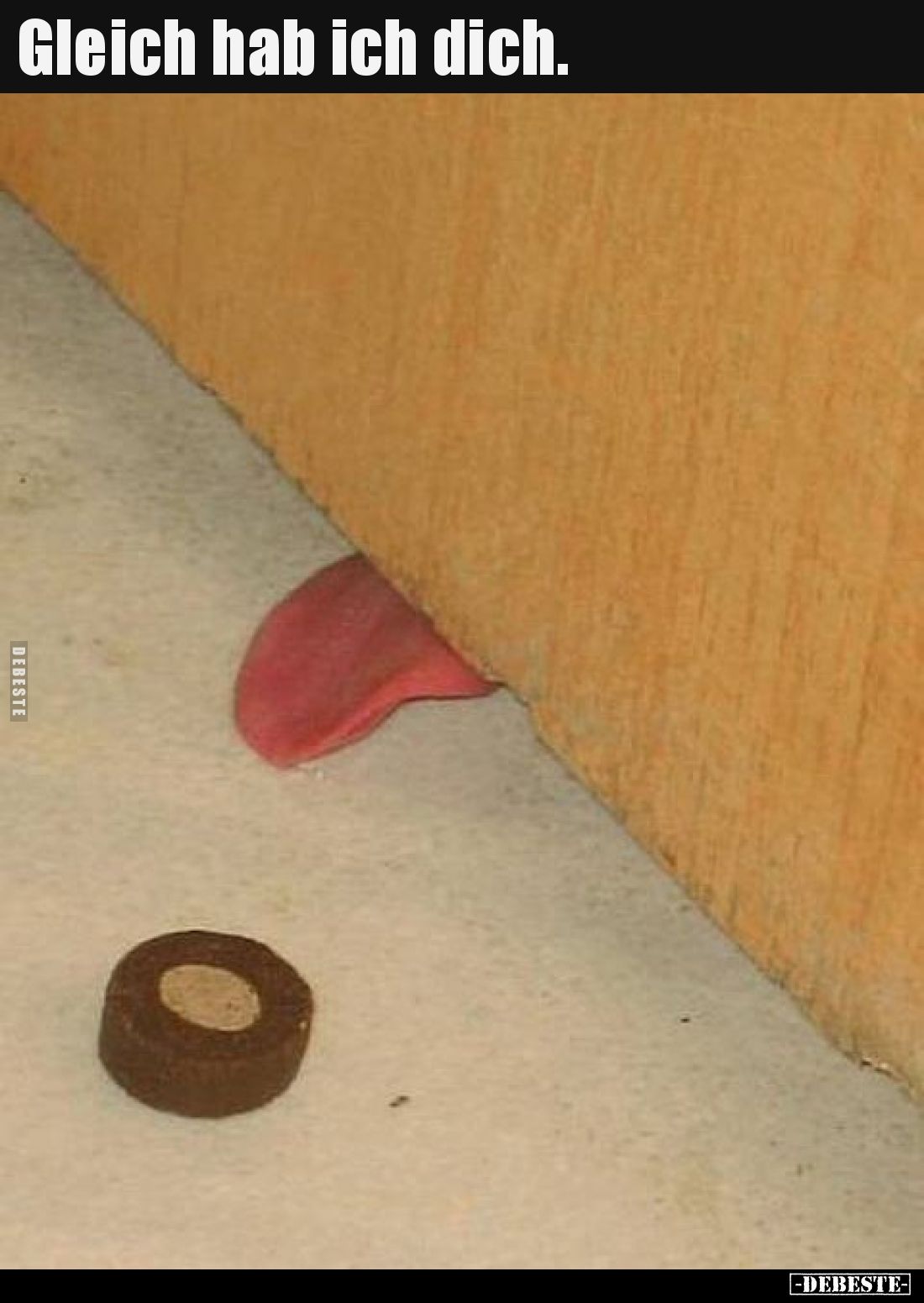 Gleich hab ich dich...