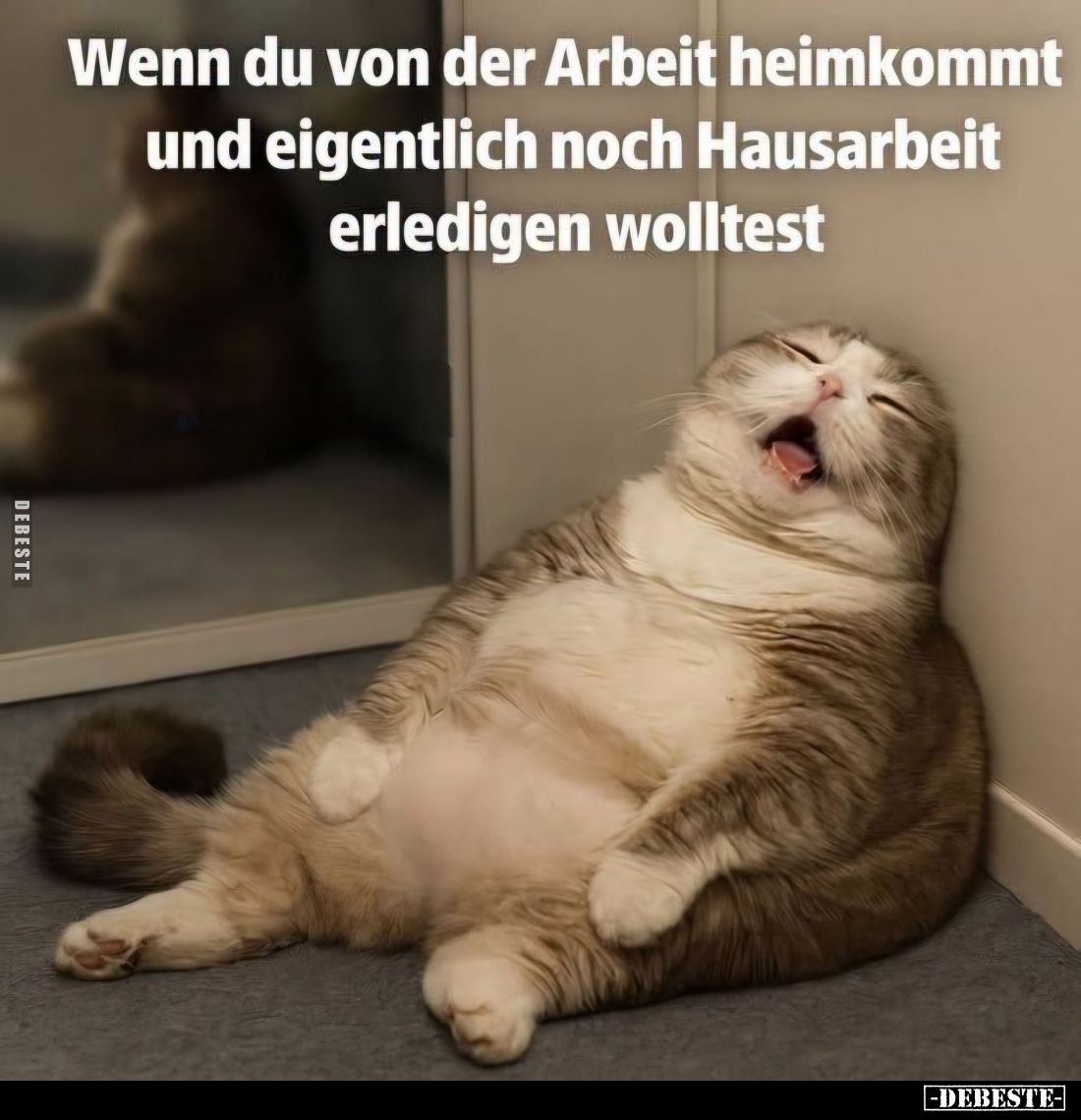 Wenn du von der Arbeit heimkommt
und eigentlich noch Hausarbeit
erledigen wolltest.