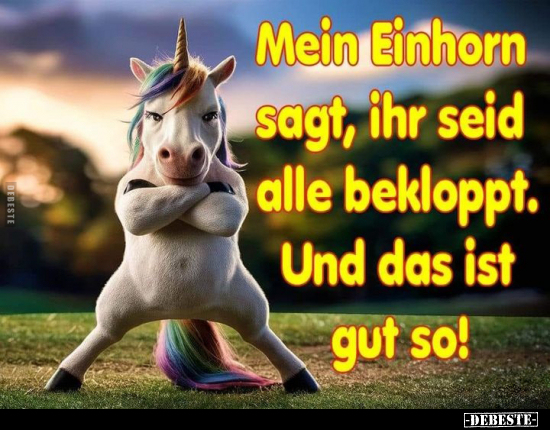 Mein Einhorn sagt, ihr seid alle bekloppt.. - Lustige Bilder | DEBESTE.de