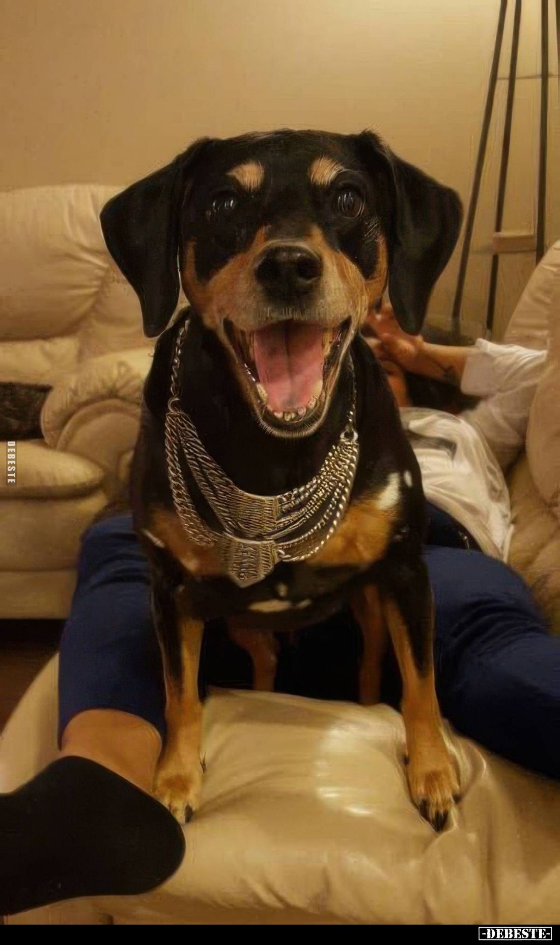  - Lustige Bilder | DEBESTE.de