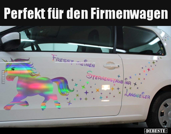 Perfekt für den Firmenwagen..