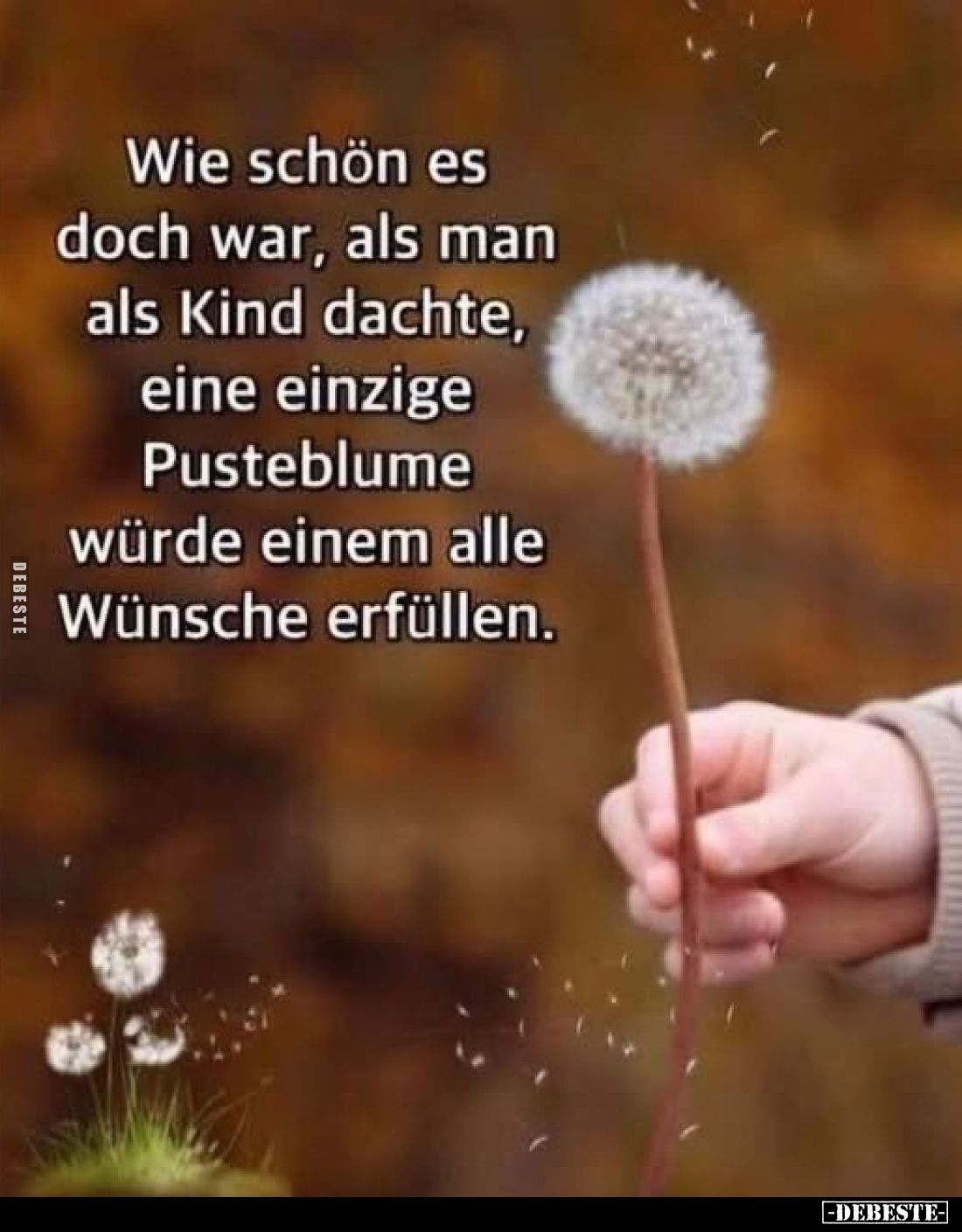 Wie schön es doch war, als man als Kind dachte, eine einzige Pusteblume würde einem alle Wünsche erfüllen.