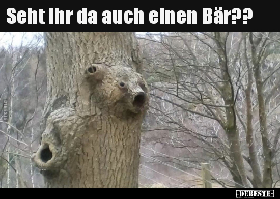 Seht ihr da auch einen Bär??..