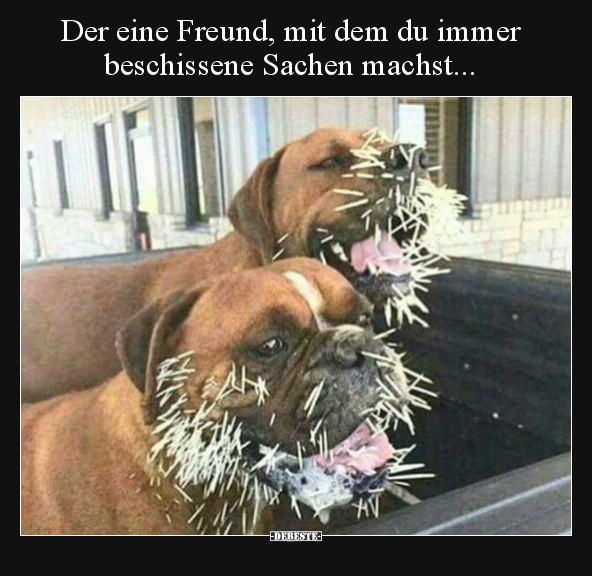 Der eine Freund, mit dem du immer beschissene Sachen.. - Lustige Bilder | DEBESTE.de