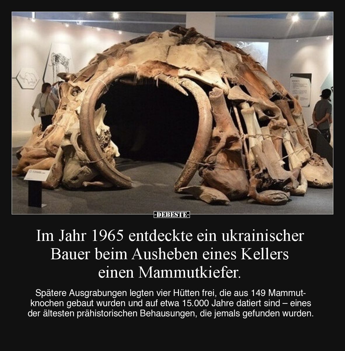 Im Jahr 1965 entdeckte ein ukrainischer Bauer beim Ausheben eines Kellers einen Mammutkiefer.

Spätere Ausgrabungen legten ...