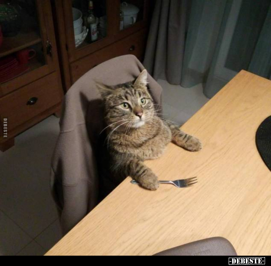  - Lustige Bilder | DEBESTE.de