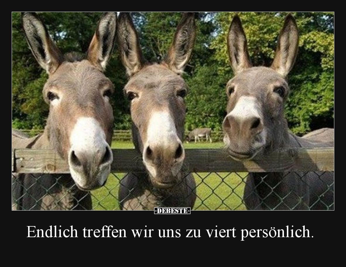 Endlich treffen wir uns zu viert persönlich.