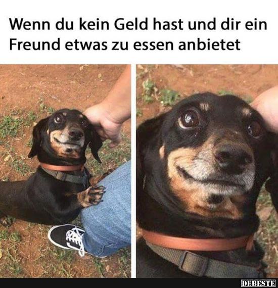 Wenn Du Kein Geld Hast Und Dir Ein Freund Etwas Zu Essen Anbietet Lustige Bilder Spruche Witze Echt Lustig