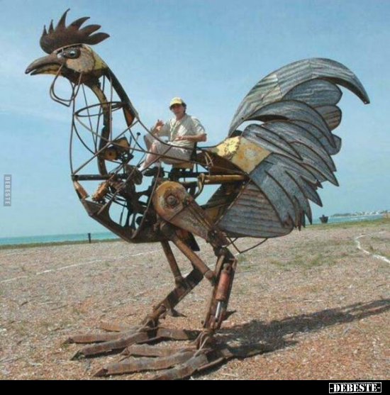  - Lustige Bilder | DEBESTE.de