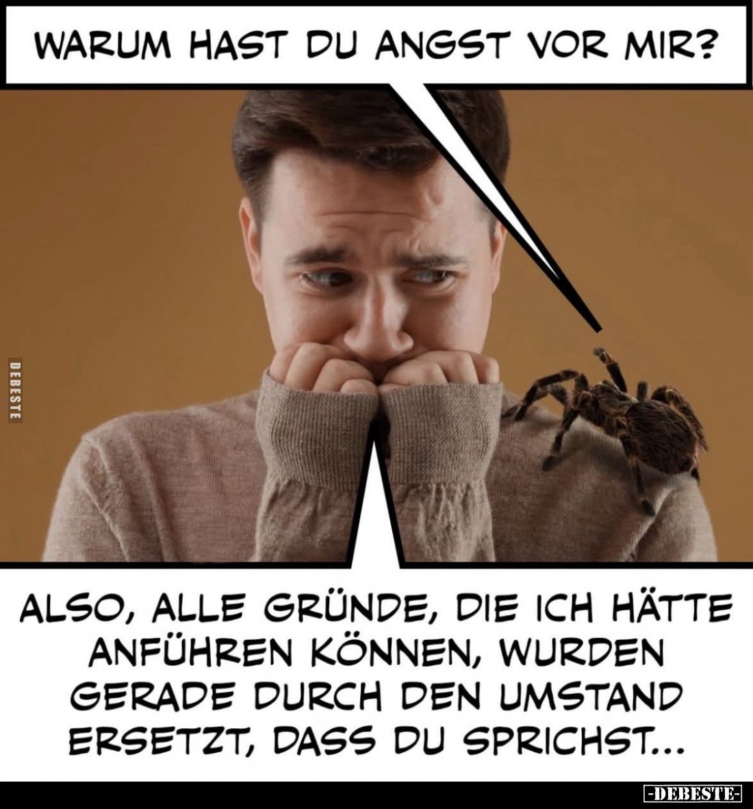 Warum hast du Angst vor mir?
Also, alle Gründe, die ich hätte anführen können, wurden gerade durch den Umstand ersetzt, dass...
