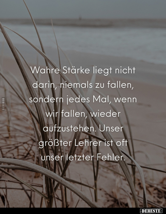 Wahre Stärke liegt nicht darin, niemals zu fallen.. - Lustige Bilder | DEBESTE.de