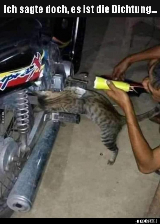 Ich sagte doch, es ist die Dichtung...