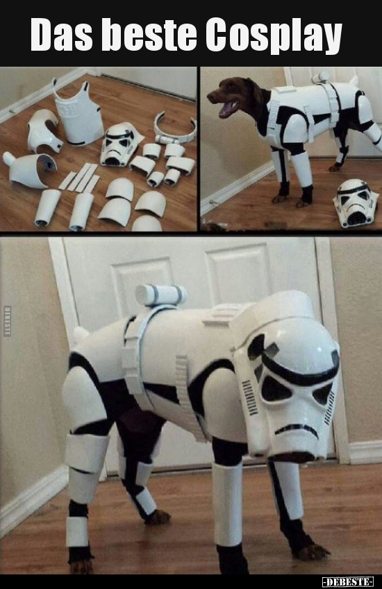 Das beste Cosplay..