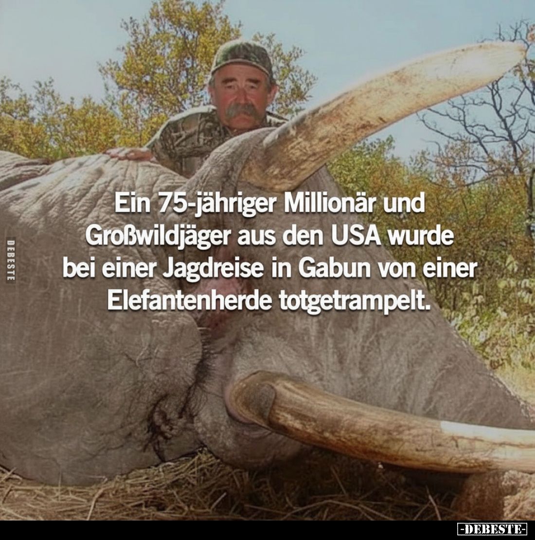 Ein 75-jähriger Millionär und Großwildjäger aus den USA wurde bei einer Jagdreise in Gabun von einer Elefantenherde totgetram...