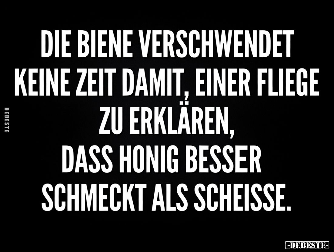 Die Biene verschwendet keine Zeit damit, einer Fliege zu erklären, dass Honig besser schmeckt als Scheiße.