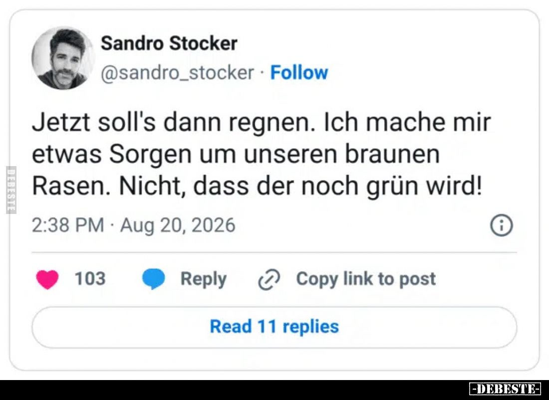 Jetzt soll's dann regnen.
Ich mache mir etwas Sorgen um unseren braunen Rasen.
Nicht, dass der noch grün wird!