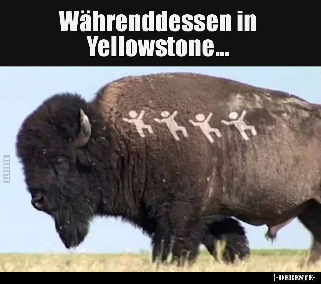 Währenddessen in Yellowstone