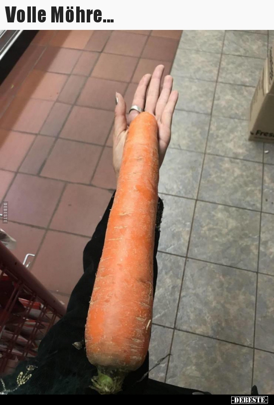 Volle Möhre...